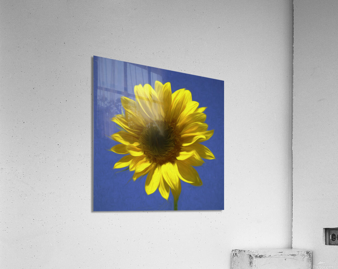 Sunflower And The Sky Impression acrylique