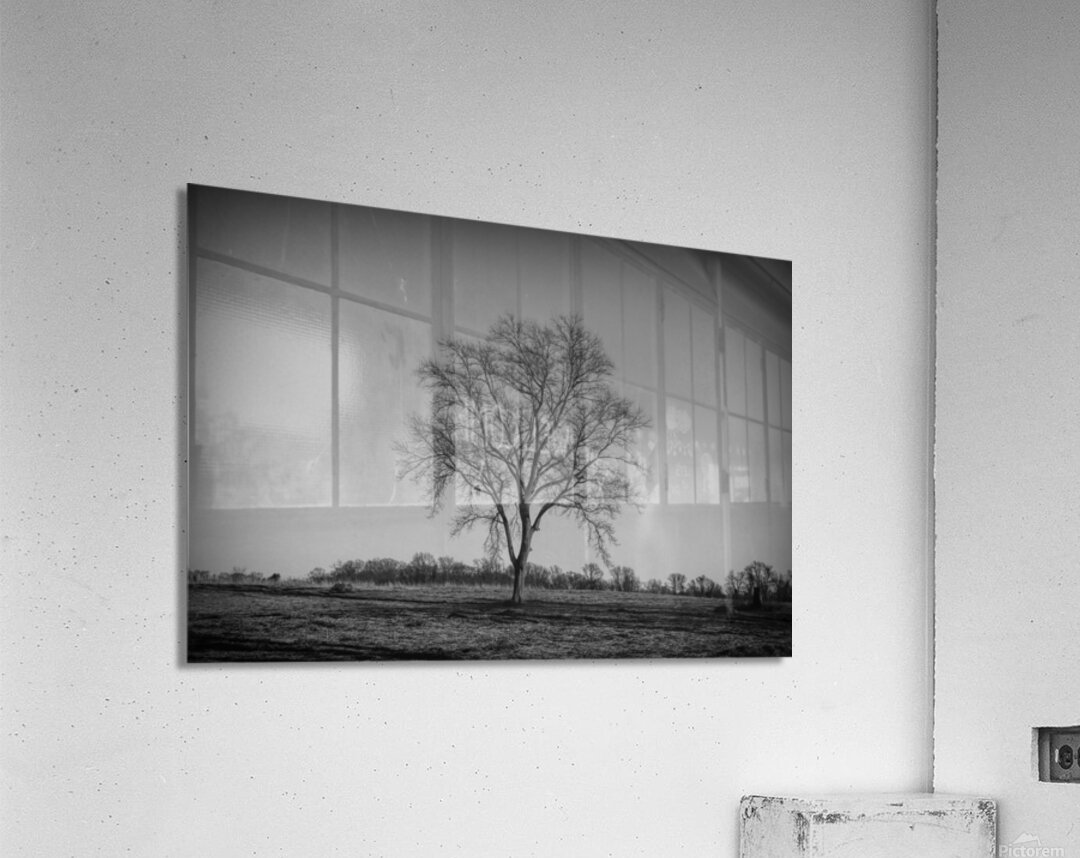 Alone In A Meadow Impression acrylique