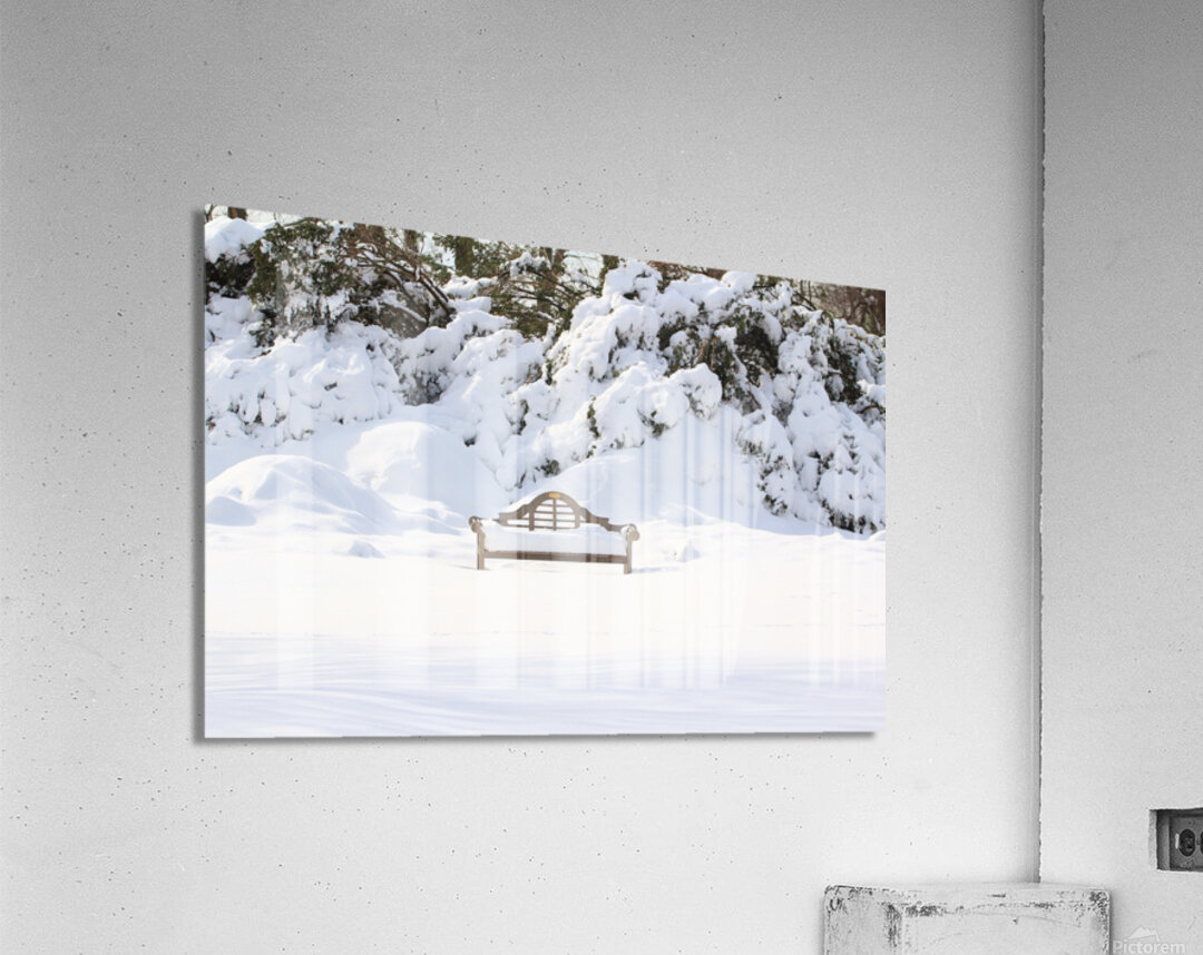 Snow Dwarfed Bench Impression acrylique