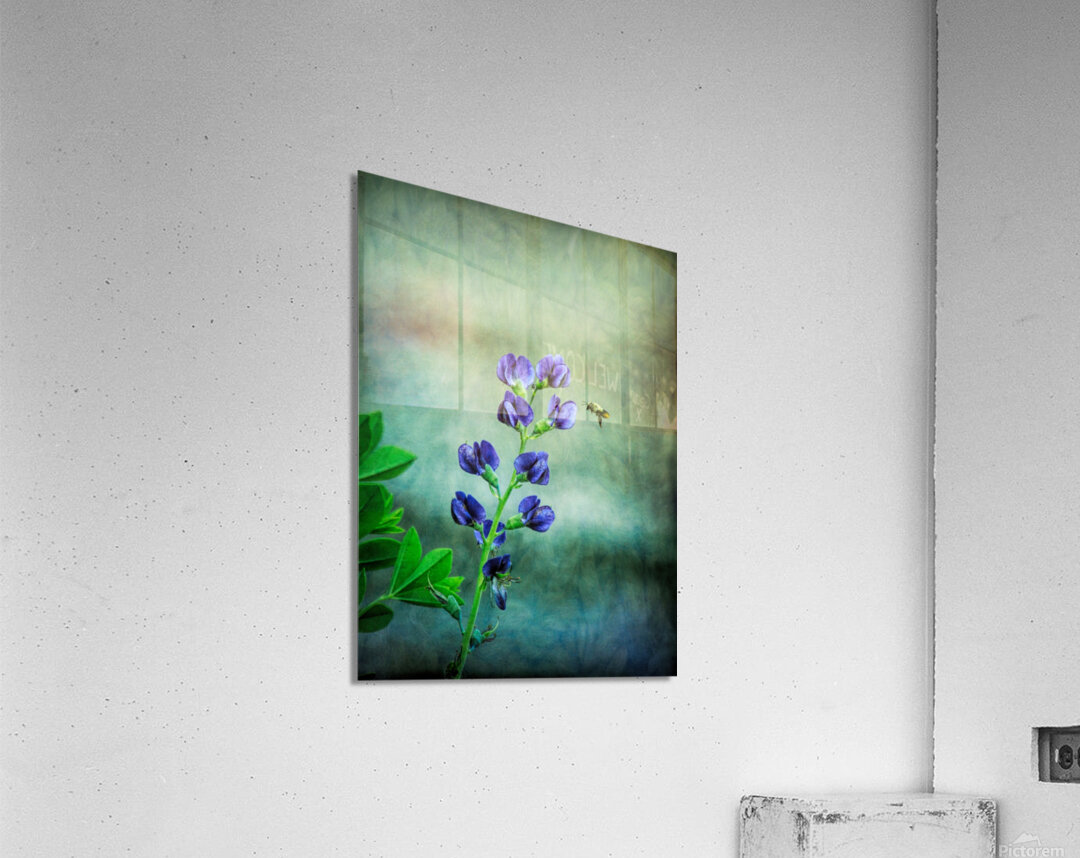 Bee Flying To A Purple Flower Impression acrylique