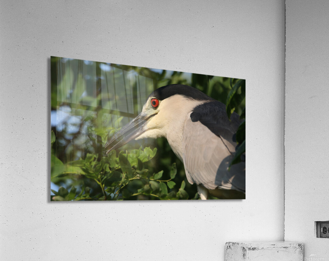 Love My Profile Acrylic Print