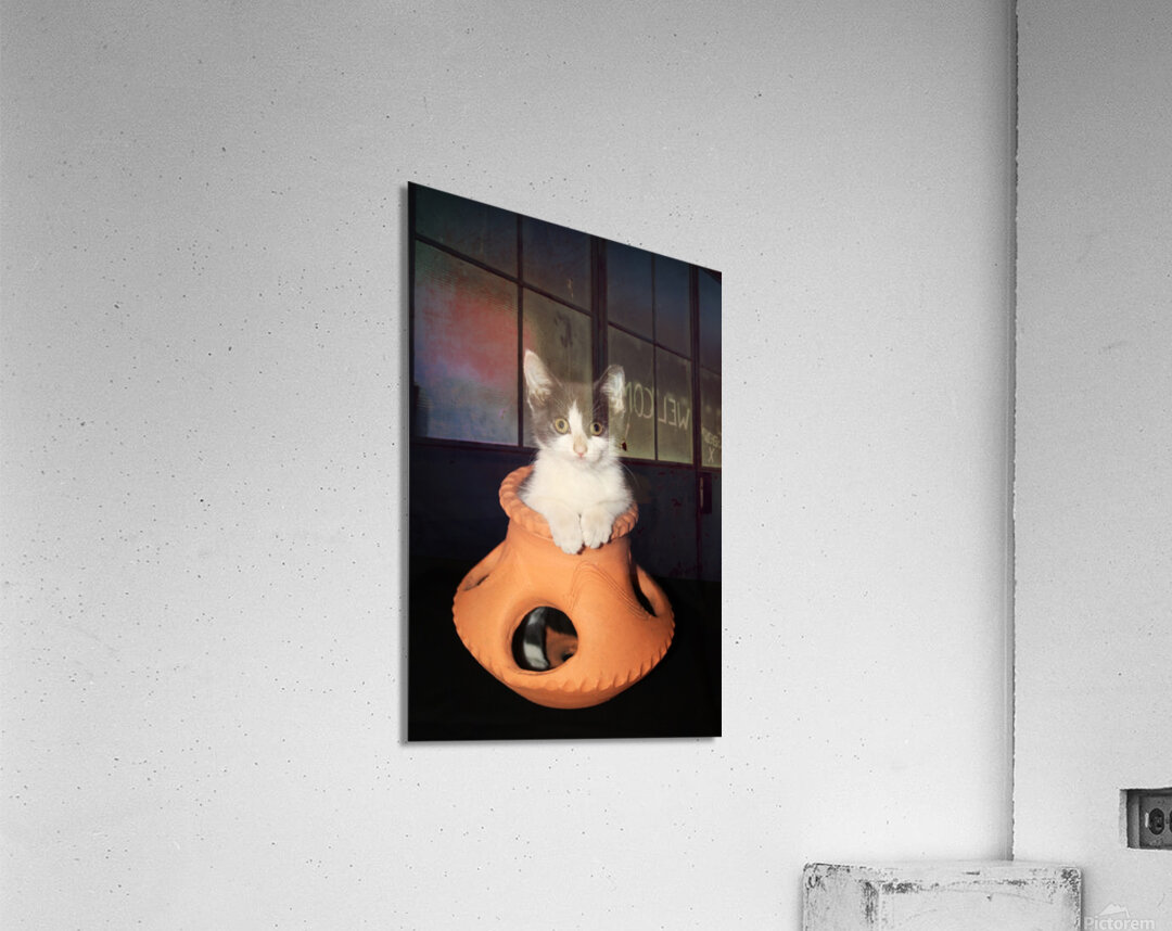 Lady Oscar Acrylic Print