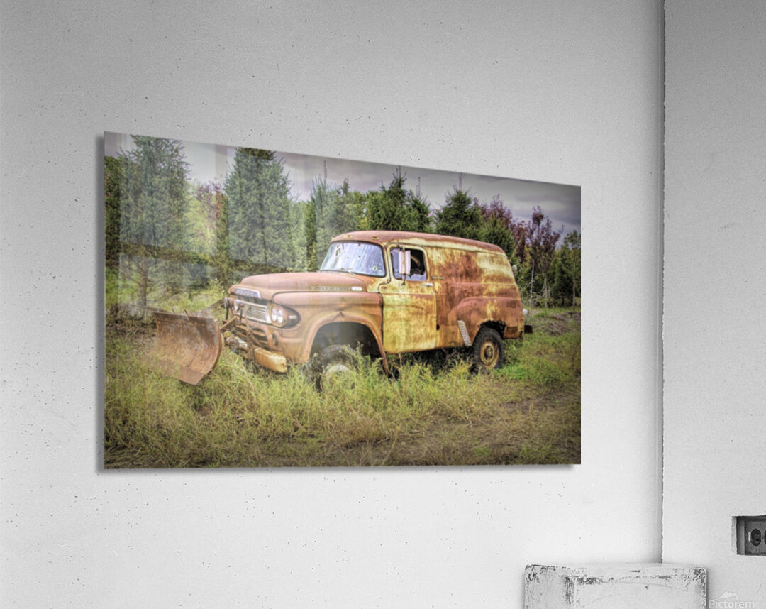 I Am Not Going Anywhere Impression acrylique