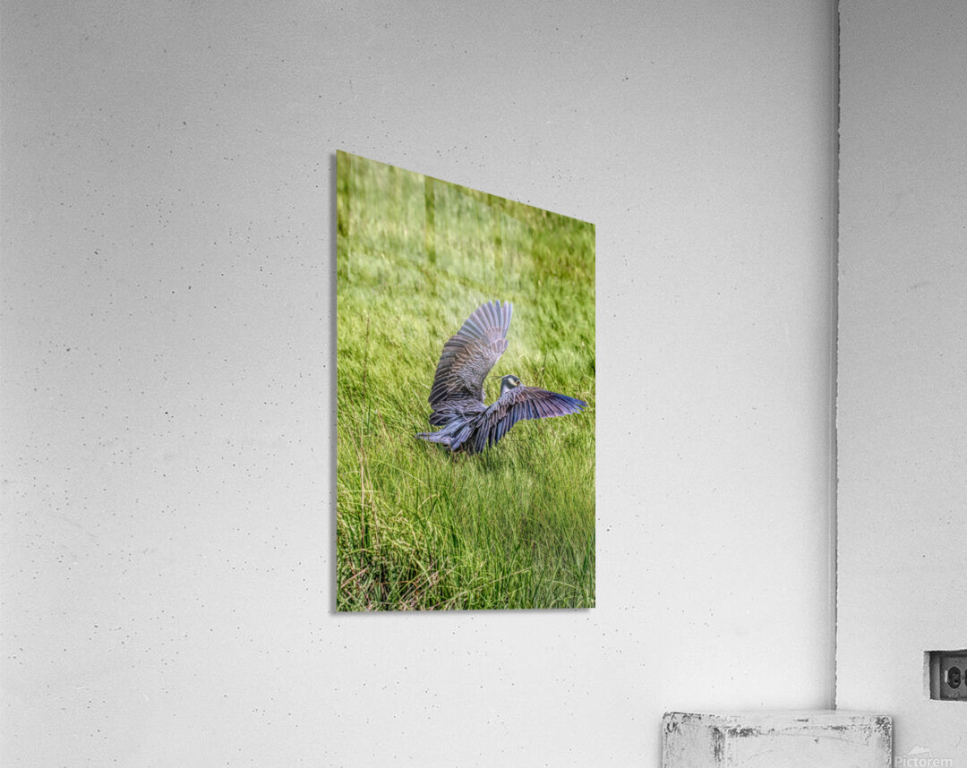 Awesome Landing Impression acrylique