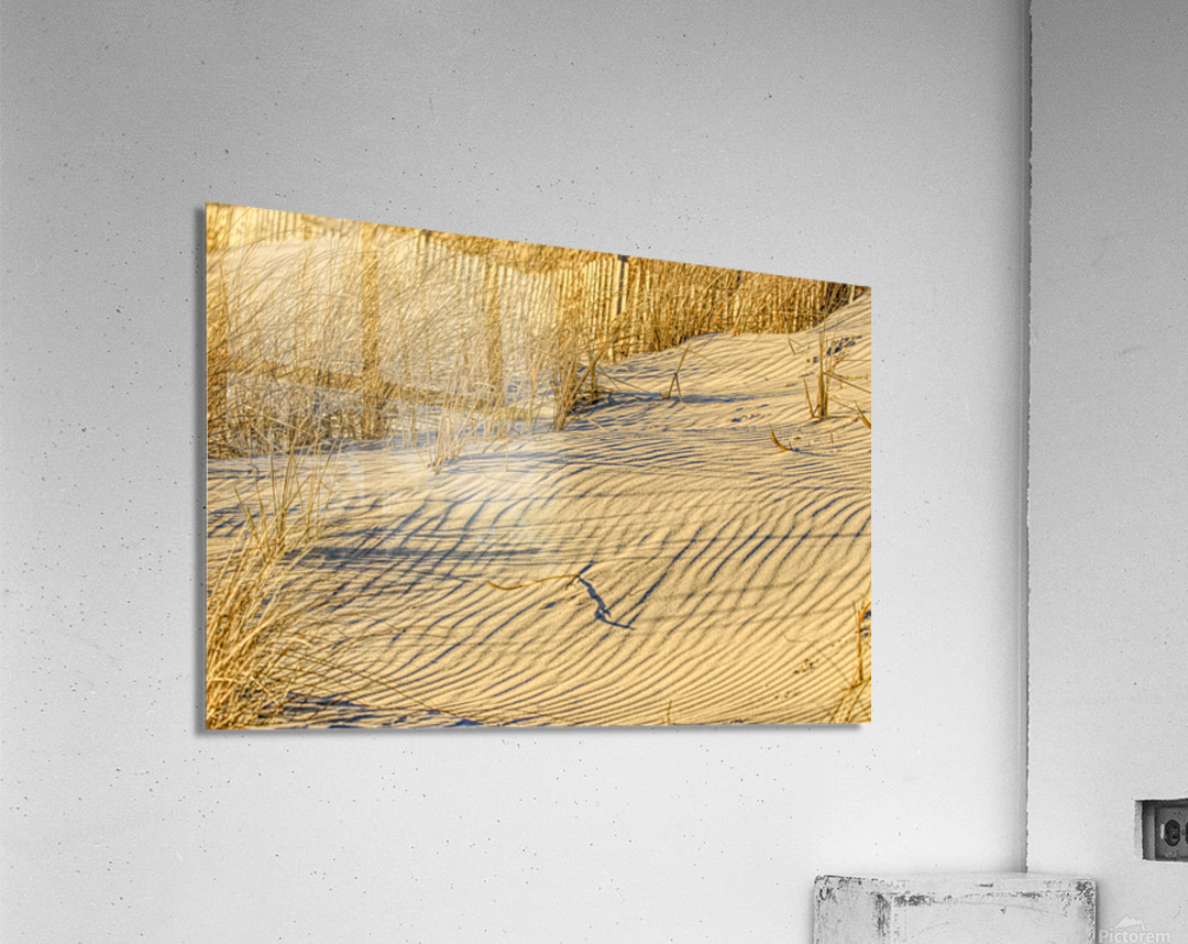 Golden Light On The Dune Impression acrylique