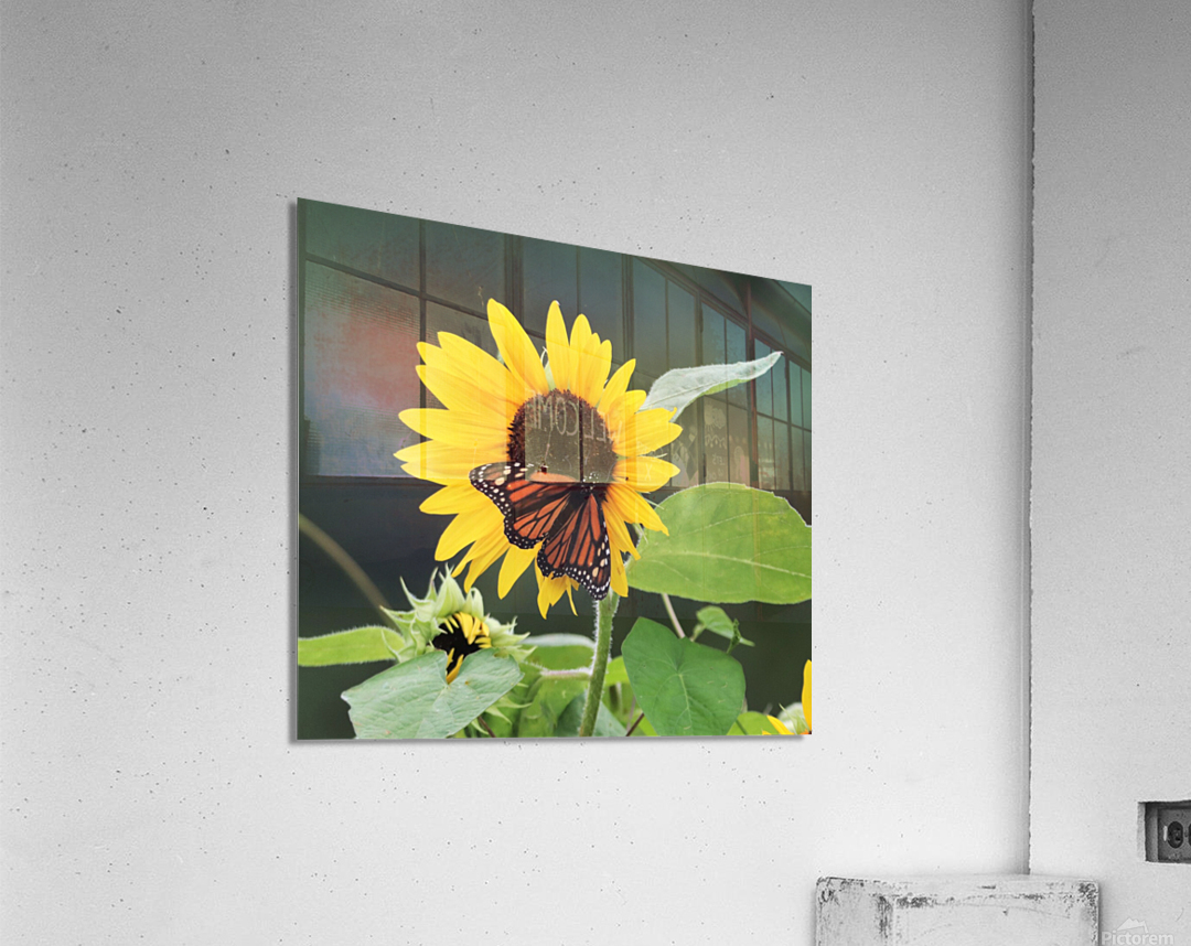 Summer Joy Impression acrylique