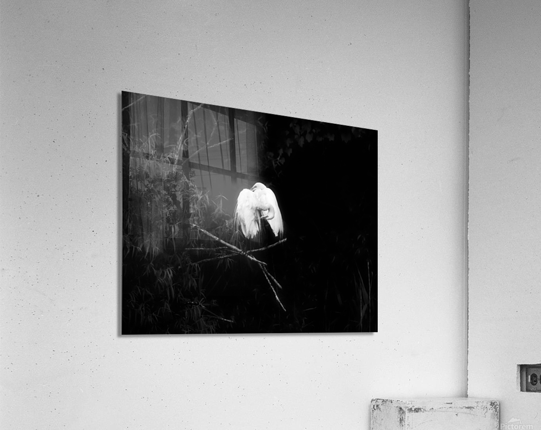 Sharing A Branch Impression acrylique