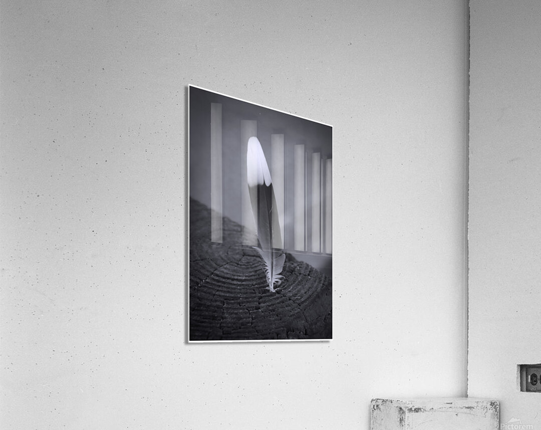 Black and White Feather Impression acrylique