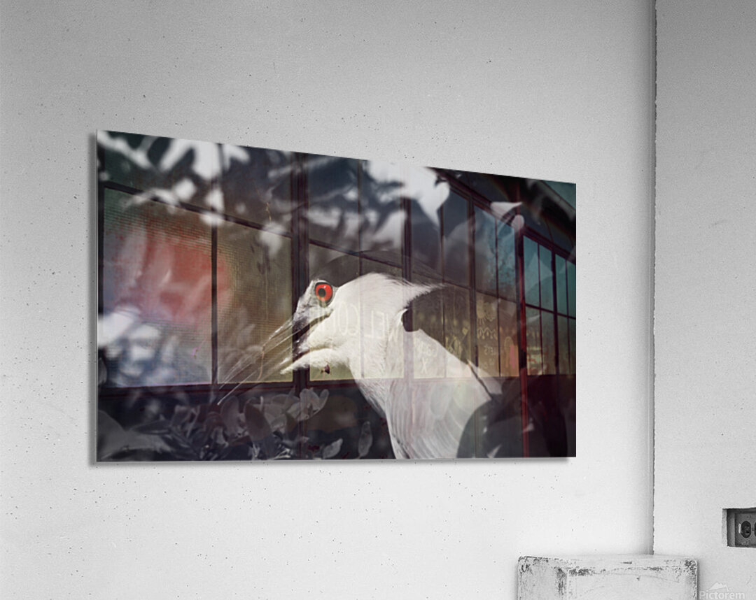 Red Eye Impression acrylique