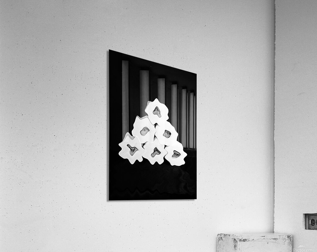 Toilet Paper Thief Acrylic Print