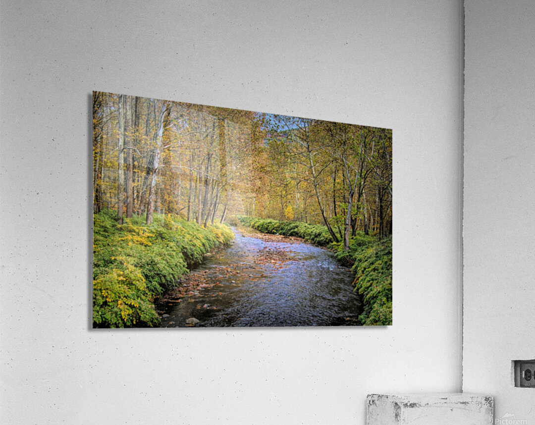Sandburg Creek Acrylic Print
