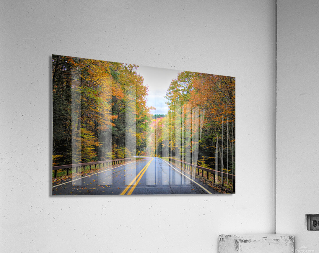 Road Along The Neversink Reservoir Impression acrylique