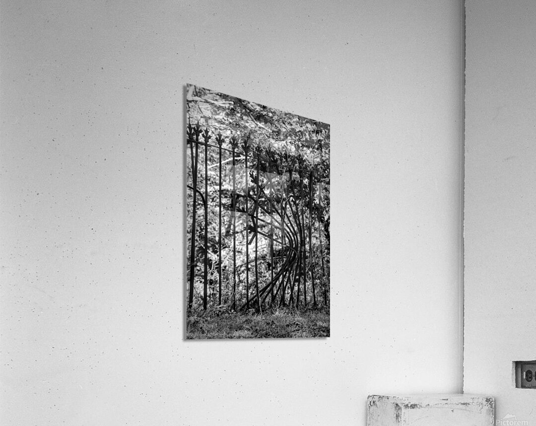 Iron Fence Acrylic Print
