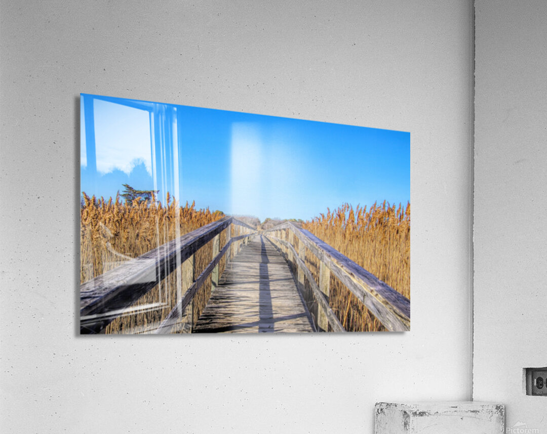 Walkway Through The Wetlands Acrylic Print
