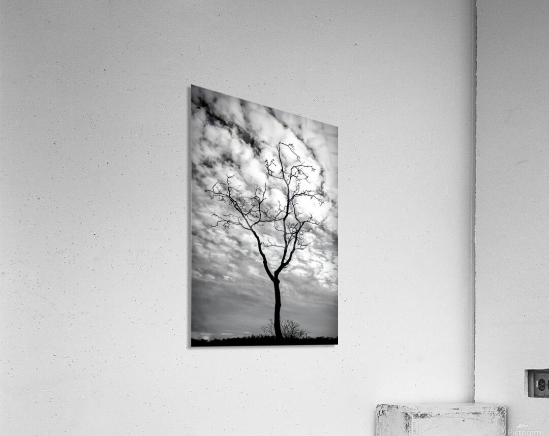 A Snag In Black and White Impression acrylique