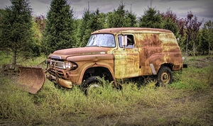 I Am Not Going Anywhere