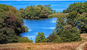 Fresh Pond at Caumsett