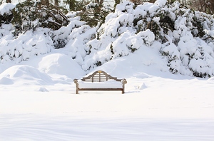 Snow Dwarfed Bench