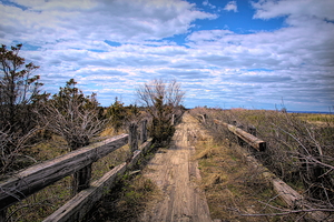 Path Along The Sound