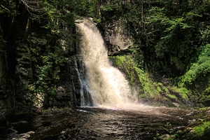 Bushkill Falls 
