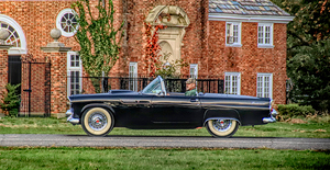 A Man And His T Bird