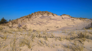 Dunes Reaching For The Sky