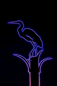 Neon Silhouette Of An Egret