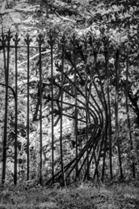 Iron Fence