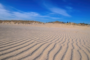 Man On The Dunes