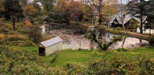 Overlooking Cedarmere Pond