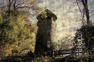 Rapunzels Summer Home