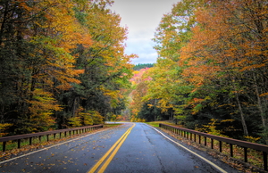 Road Along The Neversink Reservoir