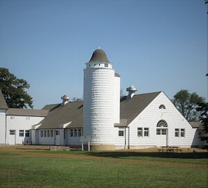 Silo At the Milking Barn