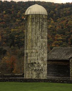 Silo With Autumn Foliage