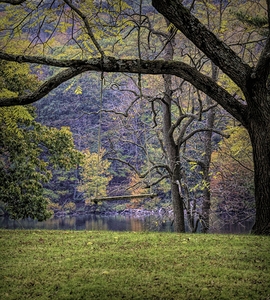 Swinging Into Autumn Edit