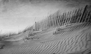 The Dunes In Black and White