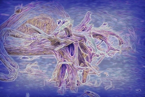 The Weather Creature