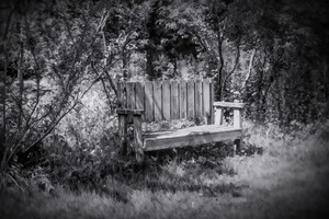 Tranquil Thinking Spot