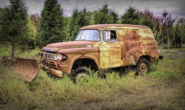 I Am Not Going Anywhere Print