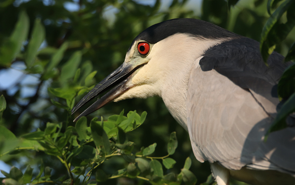 Love My Profile Print