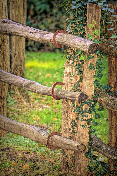 Horseshoe Fence Print