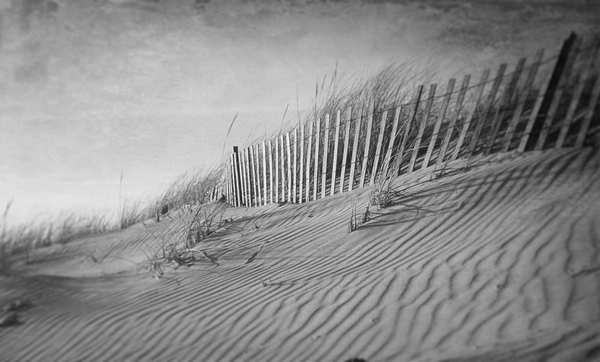 The Dunes In Black and White Print