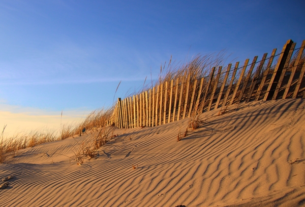 Dunes At Shinnecock Inlet Print