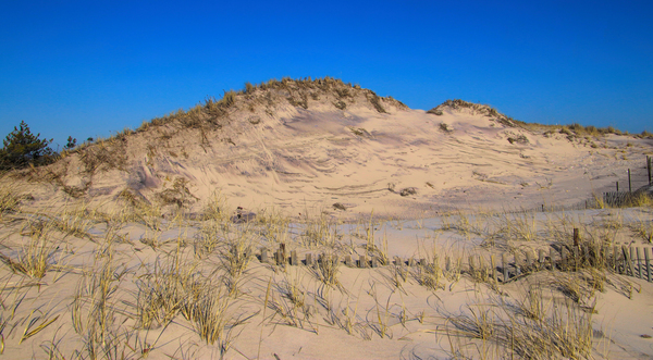 Dunes Reaching For The Sky Print