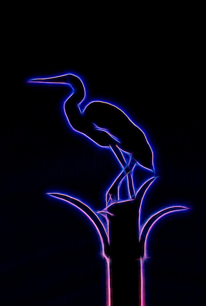 Neon Silhouette Of An Egret Print