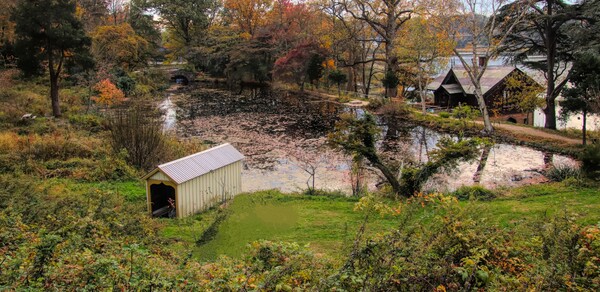 Overlooking Cedarmere Pond Print