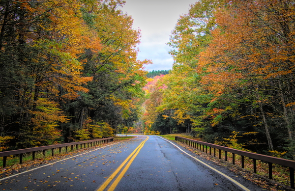 Road Along The Neversink Reservoir Print