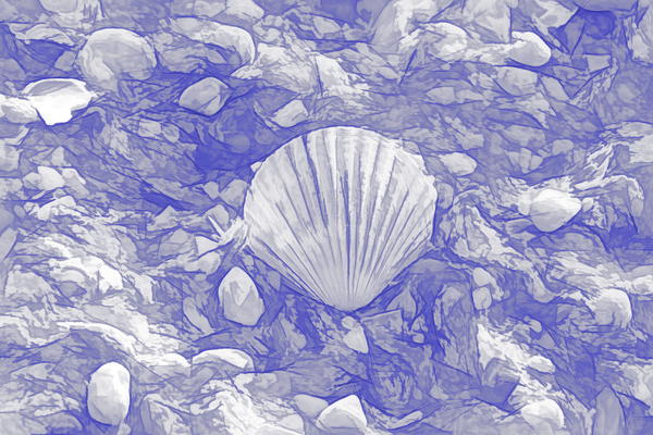 Scallop Shell On Blue and White Print