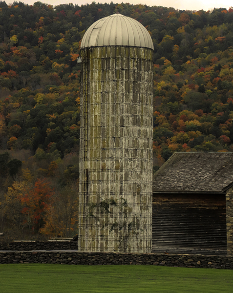 Silo With Autumn Foliage Print