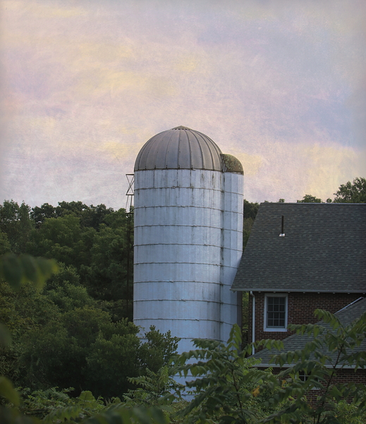 Silos Just Above The Trees Print